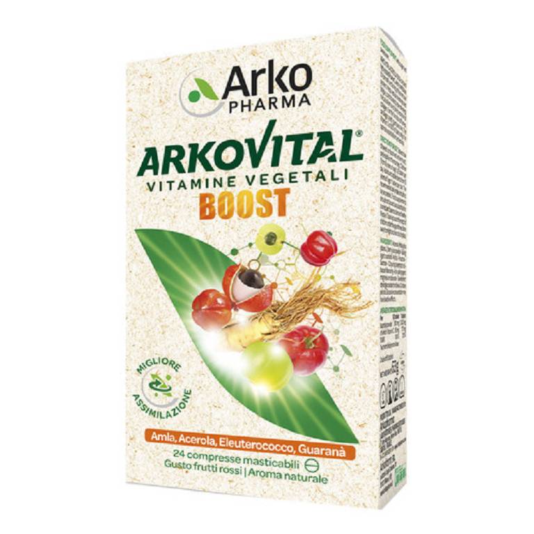 ARKOVITAL BOOST 24CPR